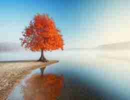 页‌面‌优‌化‍方﻿式‌